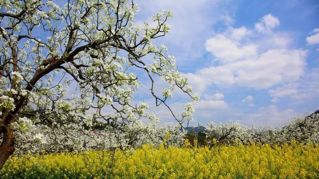 四川省民生研究会新媒体中心-官网