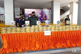 泰国海关查获8000株走私金枕头榴莲苗，累计价值24万铢图片