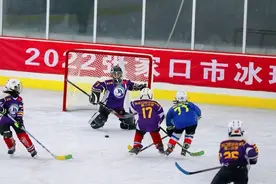 张家口城市冰球联赛决赛在康保举行图片