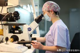 想让试管移植成功率翻倍？不妨试试这六招！图片