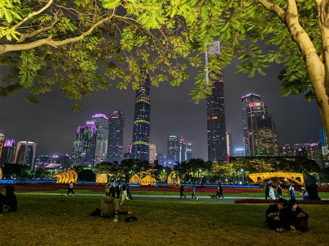 花城看花看灯饰