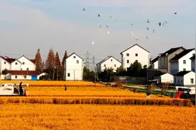 农村征地拆迁该怎么补偿？《土地管理法》已经说清楚了图片