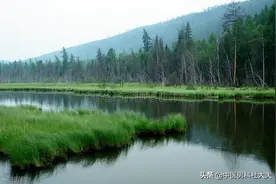 精关守不住，中医认为大多数是脾肾阳虚，命门火衰图片
