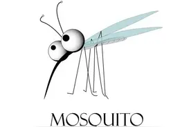 夏天被蚊子叮，快速有效的止痒方法图片