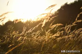 一个人最大的痛苦是：把自己的脚，放进别人的鞋里图片