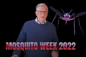 面对最致命的蚊子，人类如何「以毒攻毒」？图片