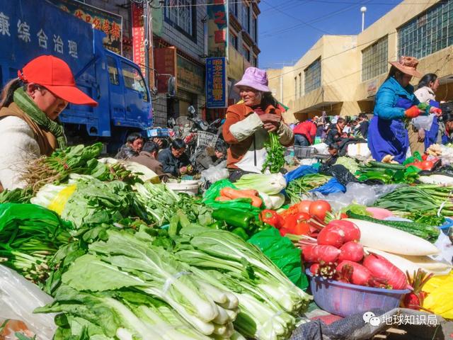 这种低端食材，战时你高攀不起｜地球知识局