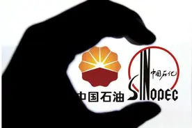 两家巨头旗下千万吨炼化项目汇总图片