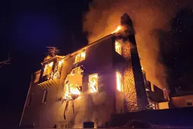 美国房主用烟雾驱赶“家蛇”，结果烧毁房子，用烟赶蛇真有效吗？图片