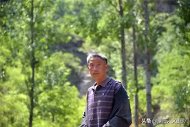 60岁山村大叔，赶30头牛进深山，石壁下搭窝棚同住一个月图片