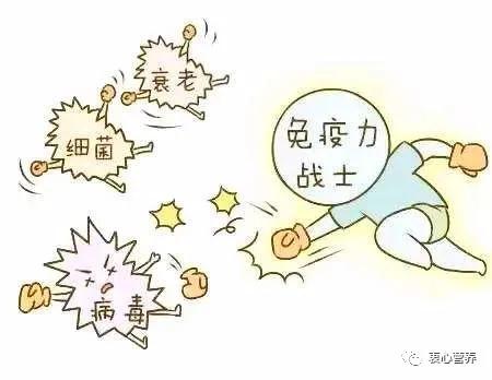 娉ㄥ皠姘ㄥ熀閰稿彲浠ユ彁楂樺厤鐤姏鍚楋紵