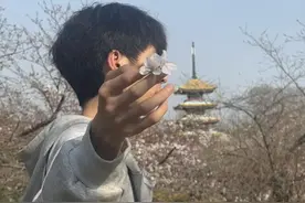樱花季 越江湖｜河南大学生第一次跑马拉松，跑完就在武汉到处“打卡”图片