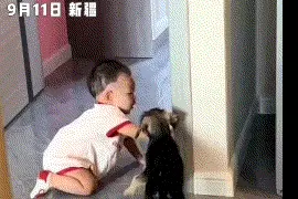 假设家里没有大人，我养的狗会欺负宝宝吗？图片