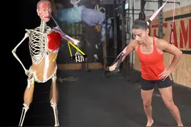 【每日一肌】5个高清动图直观解析胸大肌的重要功能！图片