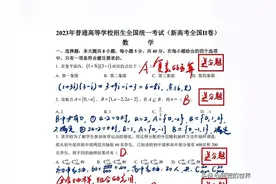 2023年新高考数学科全国二卷试题解析版图片