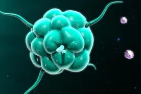 运动抗癌"实锤"！但肿瘤专家坦言：走路跑步，并非最好的抗癌运动图片