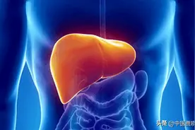 肝气一通，百病无踪！送你六个疏肝解郁中成药，疏肝清热 健脾和胃图片