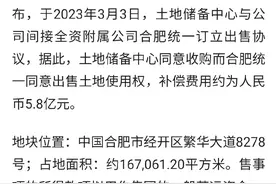 补偿5.8亿！合肥一企业工厂被收购！图片