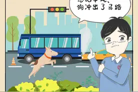 宠物犬冲出马路致两车相撞，谁该负责？图片