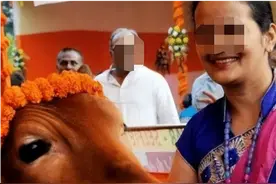 17年印度男子抛弃发妻，花17万娶一头牛，称和它是真爱，现状咋样图片