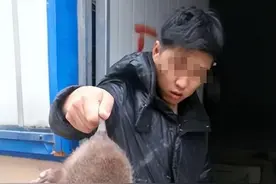 上海等地出现“大老鼠”，重十几斤，当地人：从没见过这种动物图片