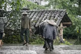 关于老人言，这30个你要懂得的事图片