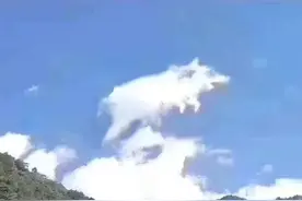 猪飞上了天图片