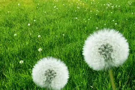 带USB功能的路由器不能闲着图片