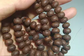 歪说手串之——菩提子到底是什么子图片