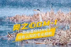 奥之心OM-1：一款颠覆你对M4/3旧有认知的专业相机图片