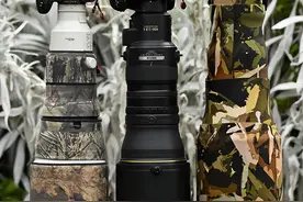 佳能R5、尼康Z9、索尼A1鸟眼自动对焦对比图片