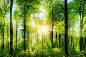 你敢砸孩子的手机吗？图片