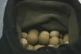 旅客入境核辐射超标千倍？只因随身带了这个东西图片