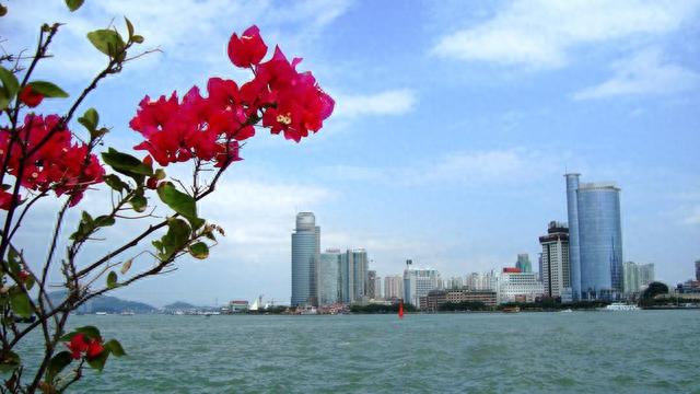 鼓浪屿最佳旅游时间(厦门鼓浪屿适合几月份去)