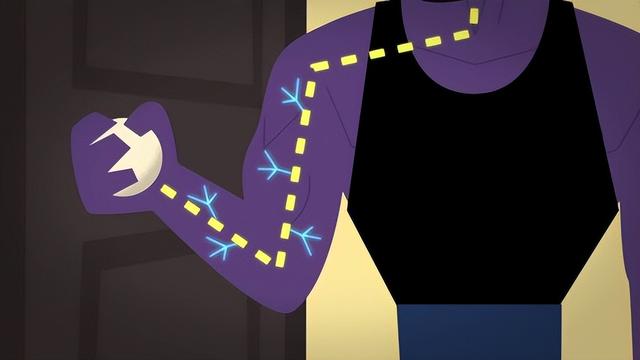 肌肉是如何生长的？