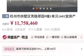 起拍单价6.64万元，申花“白月光”古翠隐秀首套法拍房上线图片