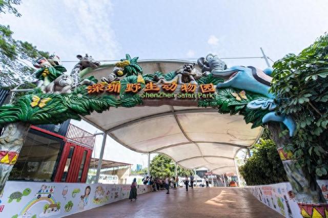深圳野生动物园攻略(深圳野生动物园门票优惠政策)