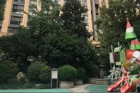 24楼突然掉下一只哈士奇，老人孩子被砸紧急送医图片