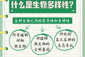 什么是生物多样性？一起打卡学起来→图片