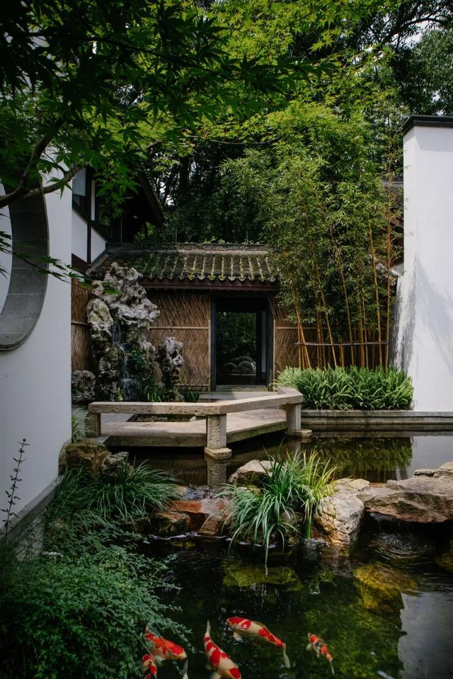 花胶煮瓜 2026年花胶炖煮