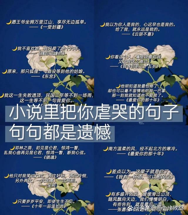 小说里把你虐哭的句子，句句都是遗憾！！