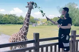 胡金秋出游近照曝光！陪双胞胎儿子与动物互动，一家四口幸福美满图片