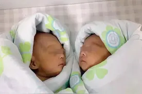 2021年，黑龙江夫妻借22万做试管喜得双胞胎，一年后，噩梦发生了图片