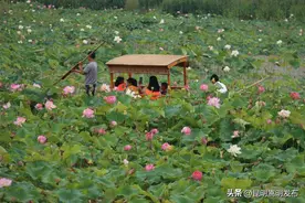 嵩阳普渡：打好生态牌，花开更宜居图片