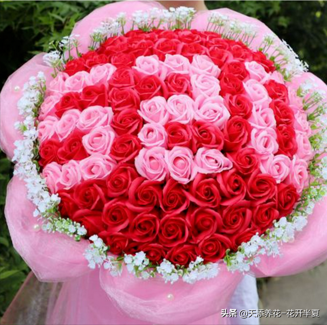 6朵玫瑰代表希望我们的爱情之路顺顺利利,永结同心;7朵玫瑰代表我偷偷