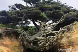 让你越来越强大的8句话图片