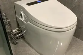 “红极一时”的虹吸式马桶，易堵又贵，会“跌落神坛”吗？图片