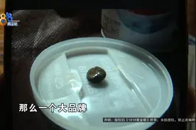 八宝粥里疑似吃出石头？惊动同房间住客图片