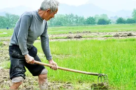 农村土地会重新分配吗？延长30年到何时分配？农民咋看？图片