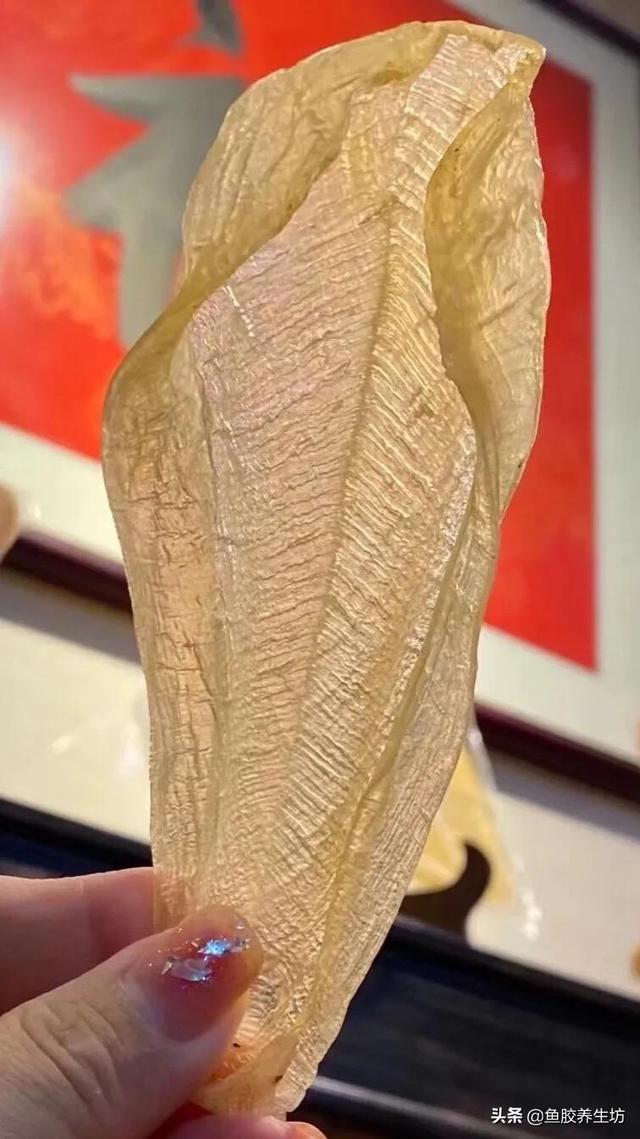 白花胶有什么功效与作用 白花胶有什么功效与作用图片